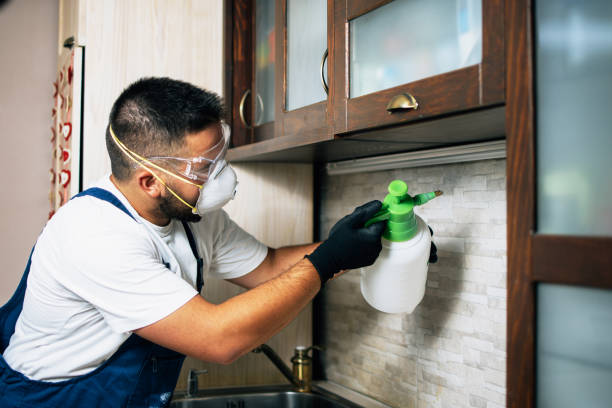 Best Cockroach Control Services  in Shady Point, OK