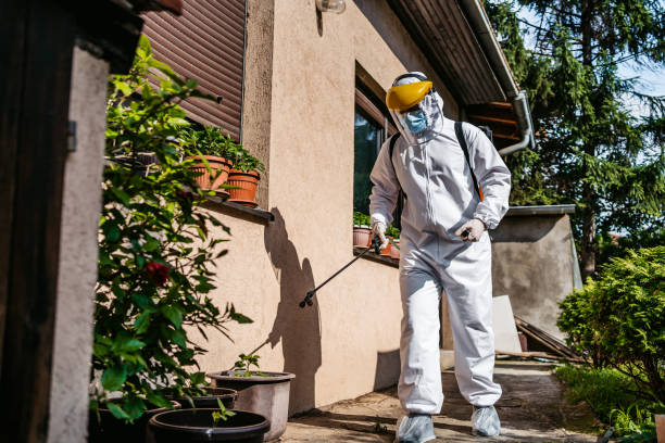 Best Affordable Pest Control Services  in Shady Point, OK