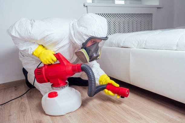 Wasp Removal Services in Shady Point, OK